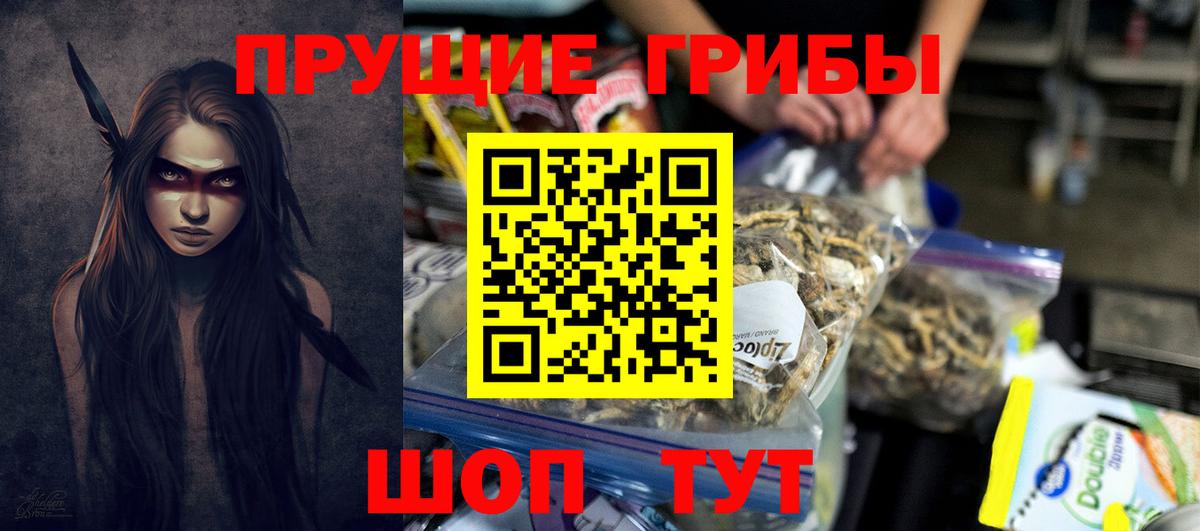 Псилоцибиновые грибы прущие грибы  Вход с VPN  цена наркотик  Черняховск 